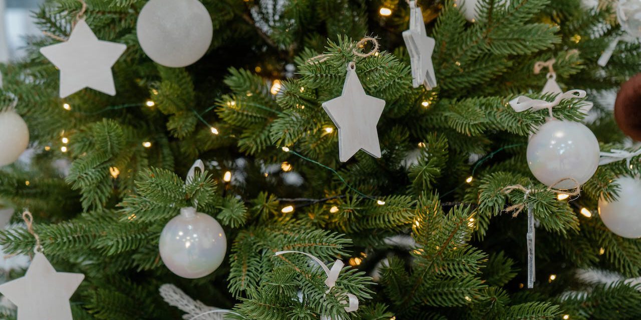 pexels-natalie-bond-14686115